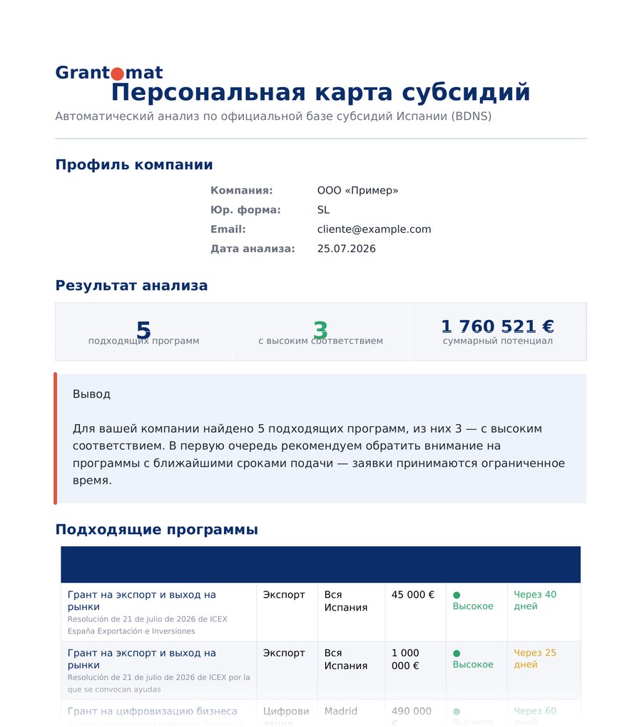 Персональный отчёт Grantomat: логотип, заголовок «Персональная карта субсидий», блок результатов анализа и таблица найденных программ